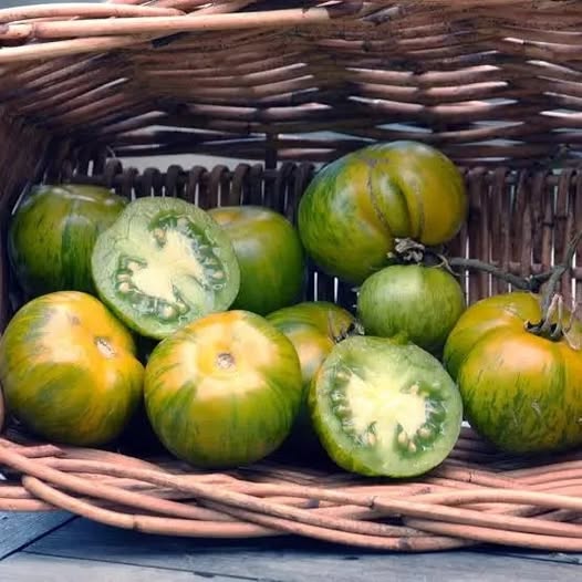 Green Zebra Tomatoes