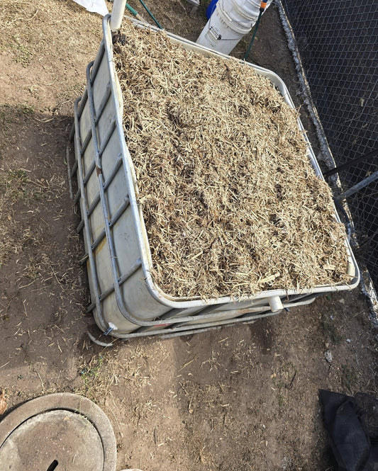 How I Built 3 IBC Wicking Beds in Darwin