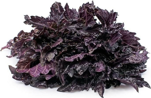 Purple Ruffle Basil