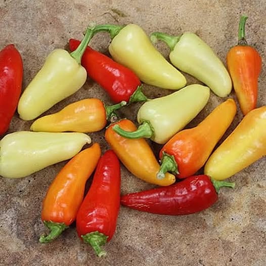 Santa Fe Chillis