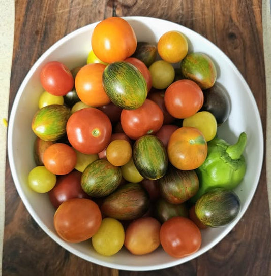 From Garden to Plate in Barry’s Backyard