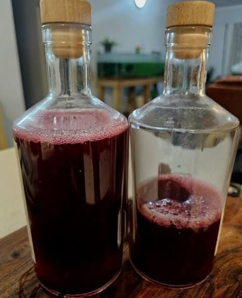 Homemade Rosella Cordial in Barry’s Backyard!