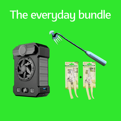 Everyday Bundle