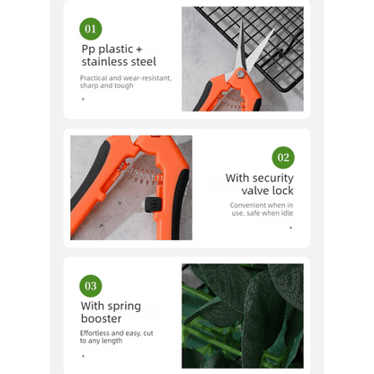 3-Pack Barry's Garden Snips