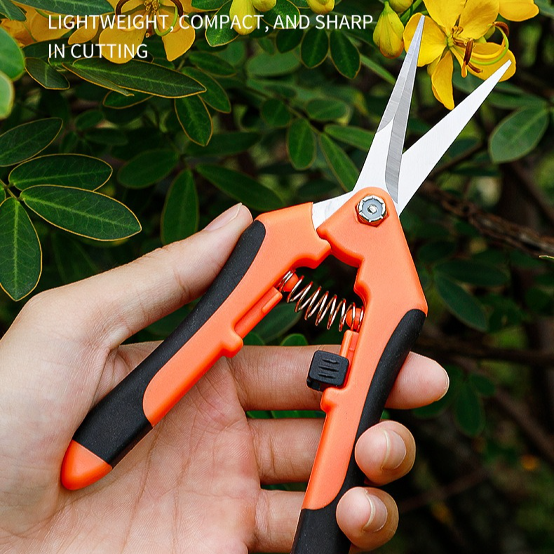 3-Pack Barry's Garden Snips