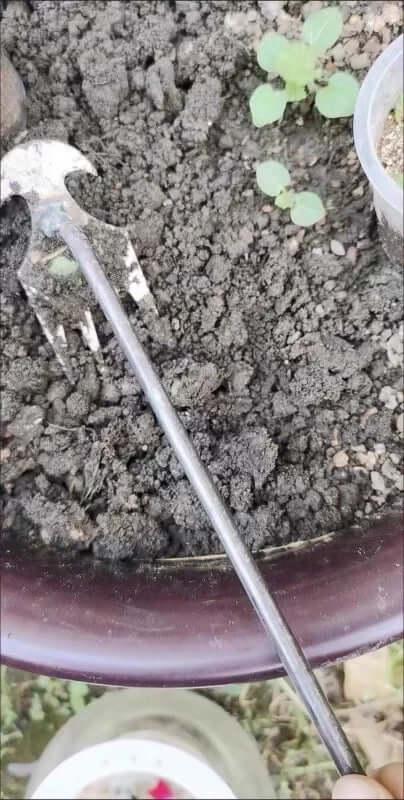 Barry's Weed Puller™